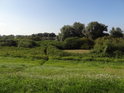 Tůň uprostřed luhu, zde úzkého pásu mezi hrází a řekou nad soutokem s řekou Sude.