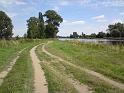Cyklistická odbočka na Křenek pohledem proti proudu Labe. Stavení vzadu je na levém břehu a patří k obci Záryby.
