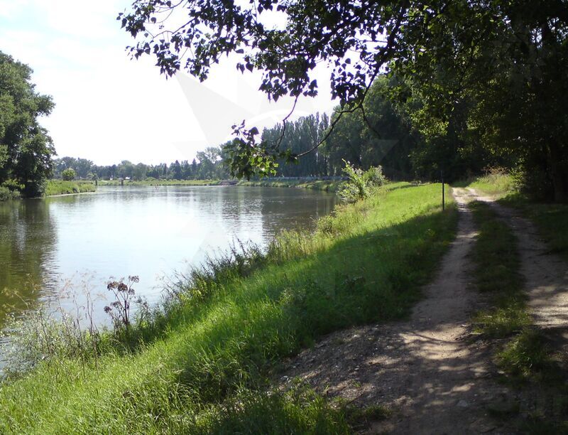 labe-celakovice-25.jpg