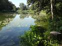 Klidná voda slepého ramene Labe v Čelákovicích nedaleko přírodní rezervace Lipovka - Grado ve své západní části.