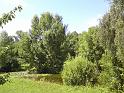 Levobřežní laguna nedaleko Lázní Toušeň.
