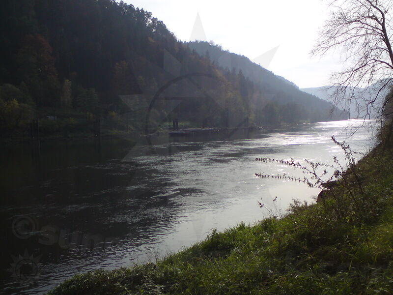 labe-dbs-38.jpg