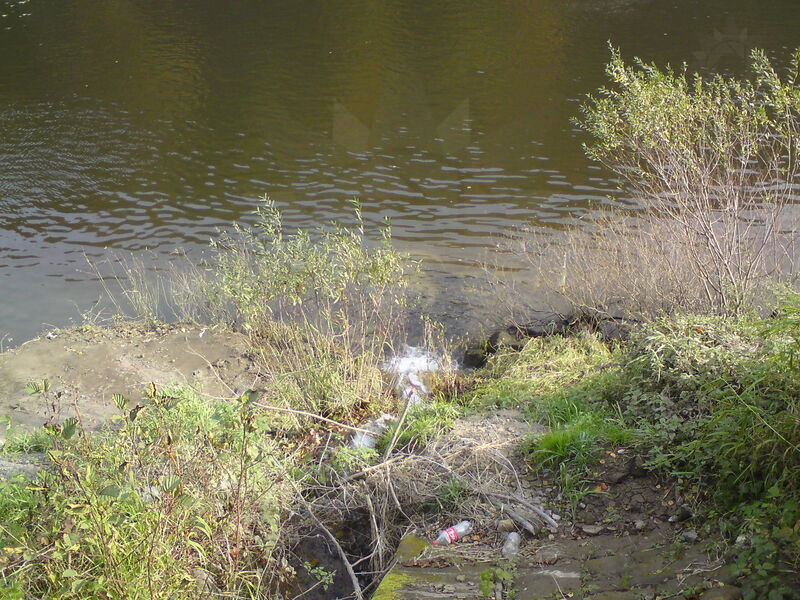 labe-dbs-40.jpg