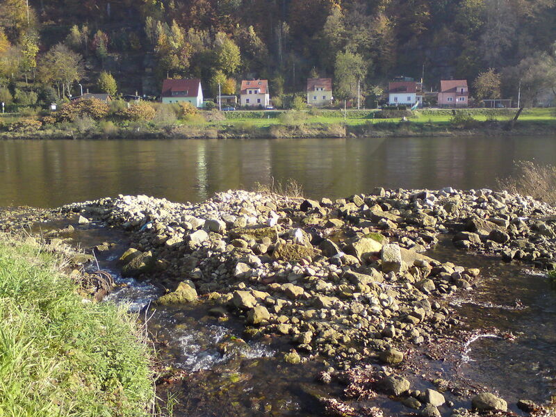 labe-dbs-63.jpg