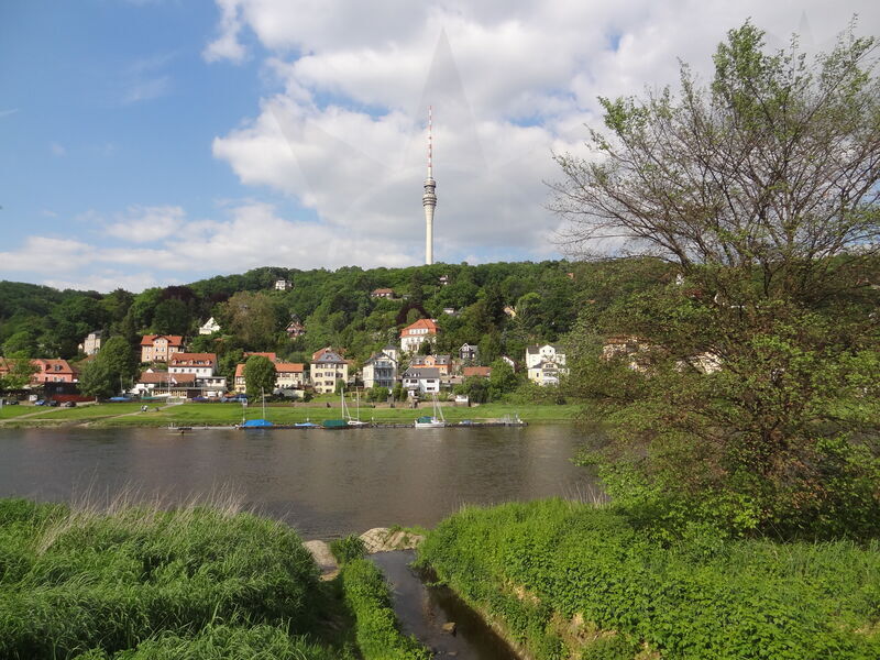 elbe-dresden-22.jpg