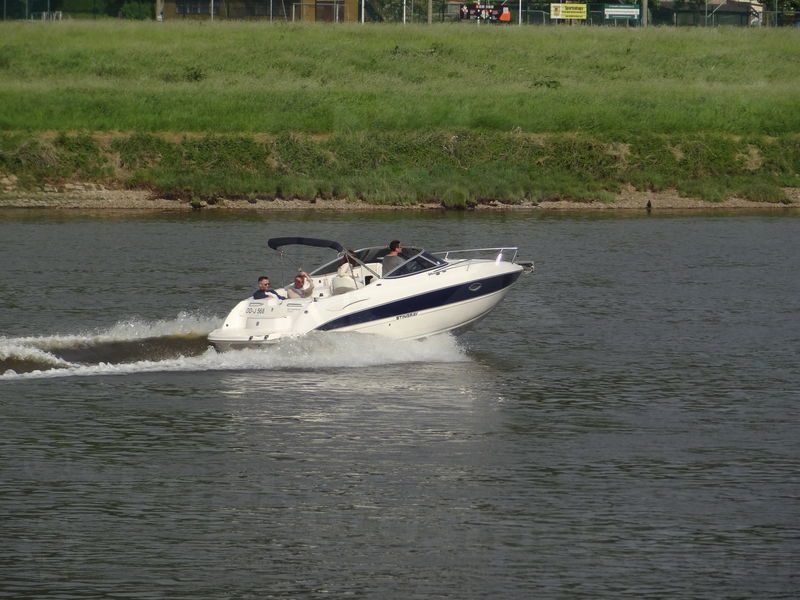 elbe-dresden-25.jpg