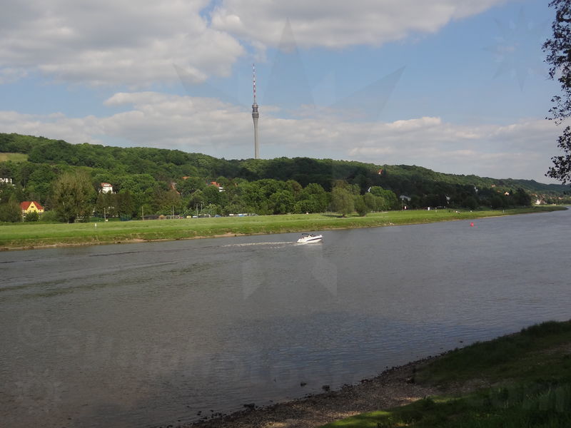 elbe-dresden-26.jpg