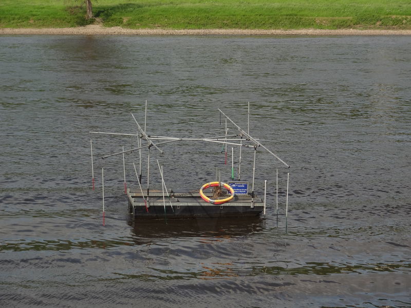 elbe-dresden-28.jpg
