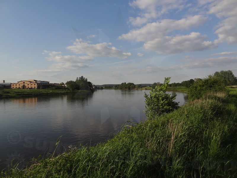 elbe-dresden-73.jpg
