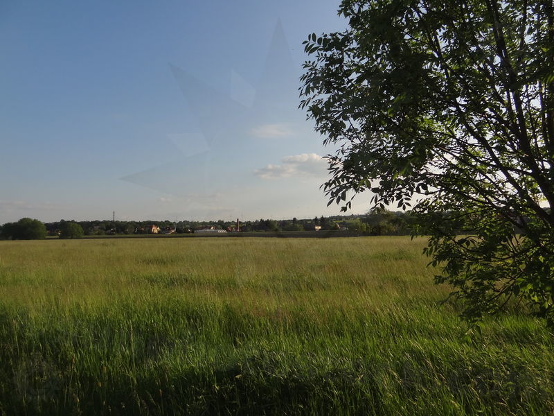 elbe-dresden-87.jpg