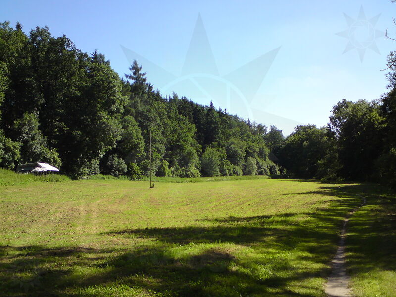 labe-dj-15.jpg
