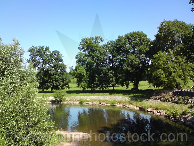 labe-dj-49.jpg
