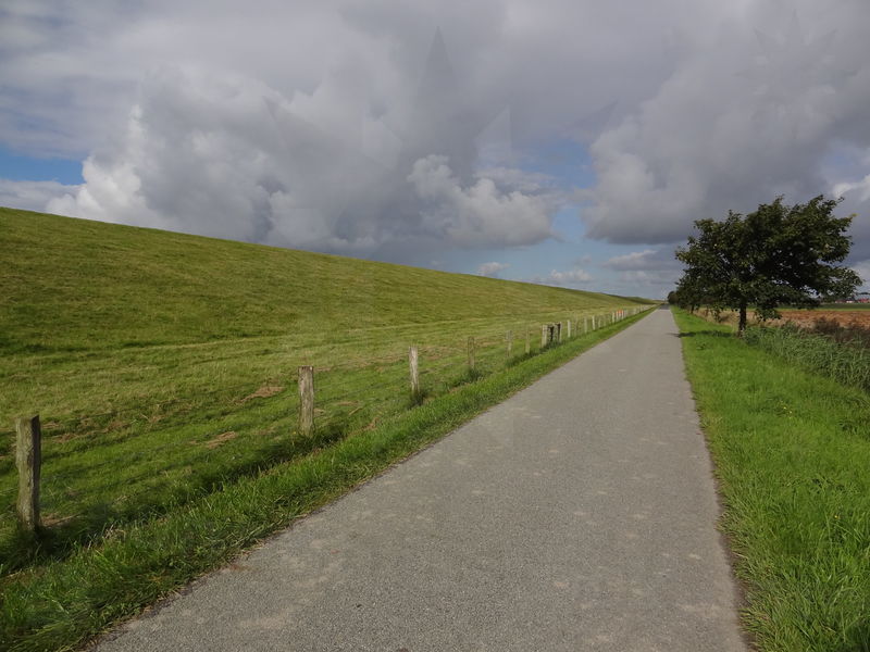 elbe-friedrichskoog-01.jpg