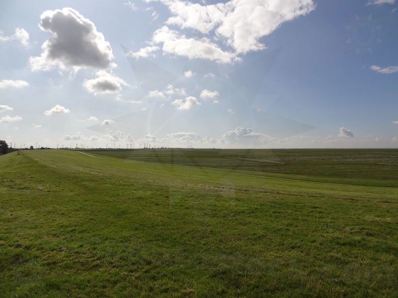 elbe-friedrichskoog-04.jpg