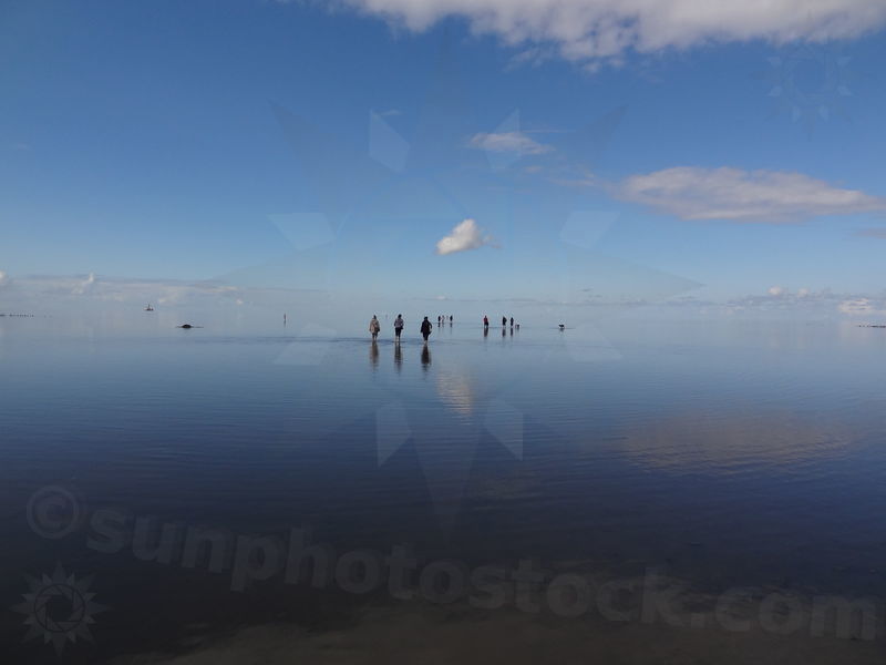 elbe-friedrichskoog-34.jpg