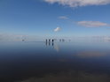 Labe v obci Friedrichskoog