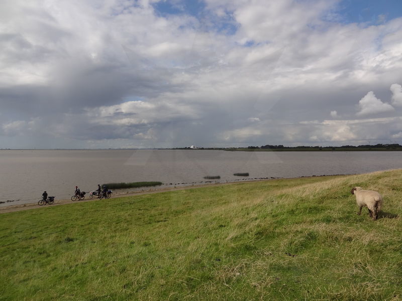 gluckstadt-friedrichskoog-05.jpg