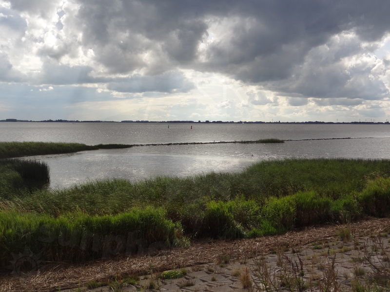 gluckstadt-friedrichskoog-12.jpg
