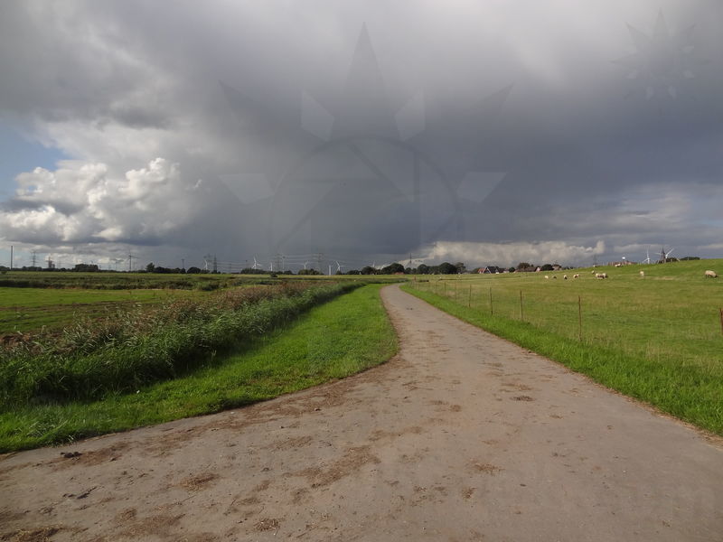 gluckstadt-friedrichskoog-29.jpg