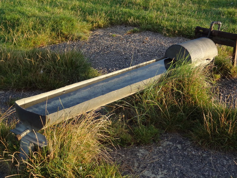gluckstadt-friedrichskoog-45.jpg