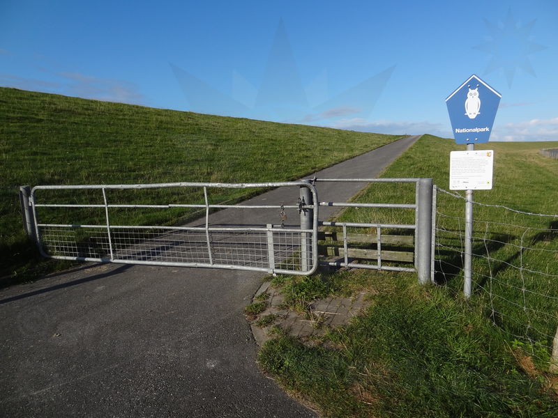 gluckstadt-friedrichskoog-69.jpg