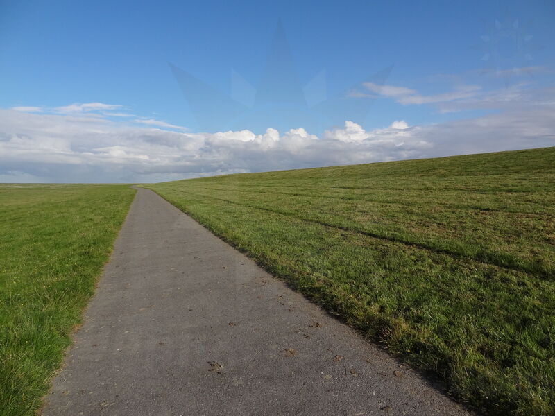 gluckstadt-friedrichskoog-72.jpg