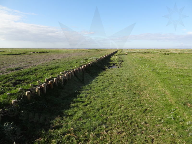 gluckstadt-friedrichskoog-73.jpg
