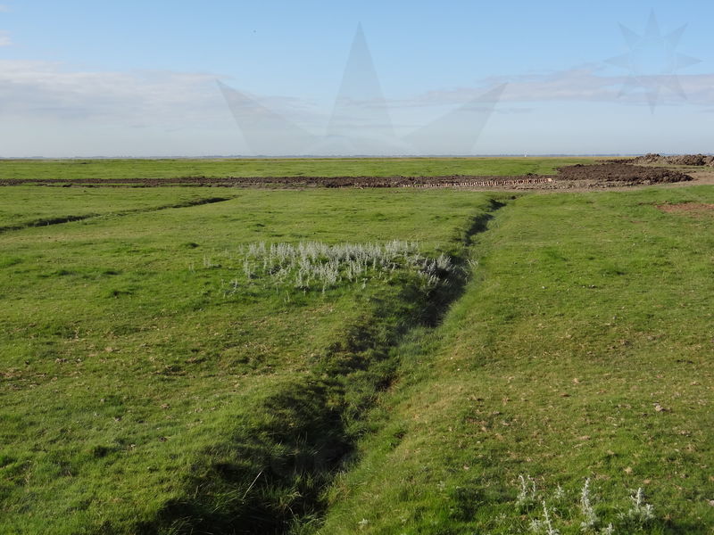 gluckstadt-friedrichskoog-80.jpg