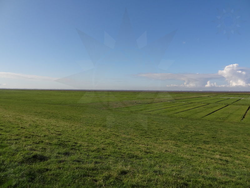 gluckstadt-friedrichskoog-87.jpg