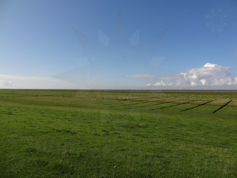 gluckstadt-friedrichskoog-91.jpg