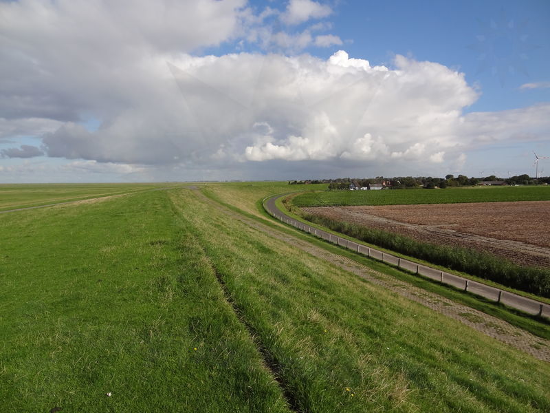 gluckstadt-friedrichskoog-93.jpg