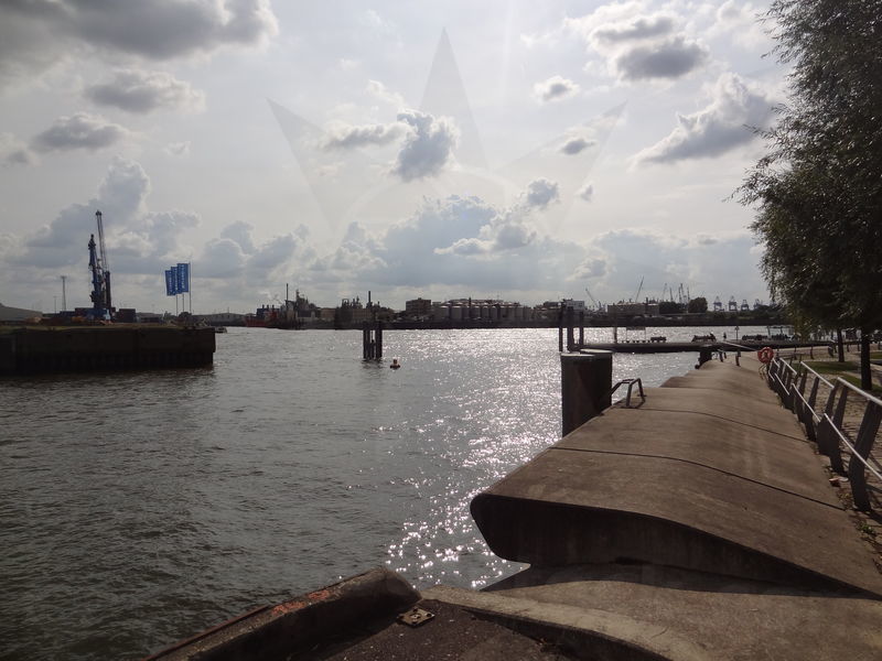 norderelbe-hamburg-54.jpg