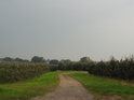 Cesta mezi jabloňovými sady u obce Borstel na levém břehu Borsteler Binnenelbe.