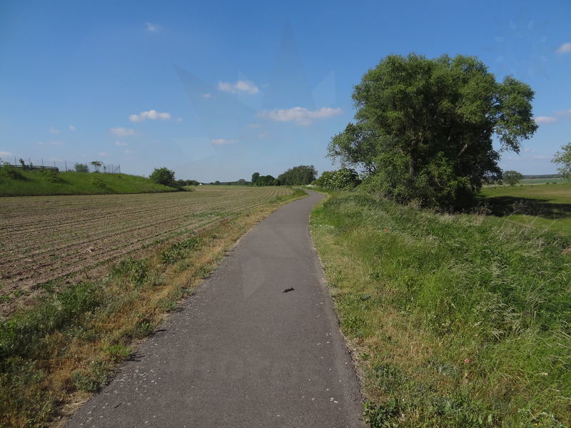 hohenwarthe-tangermunde-29.jpg