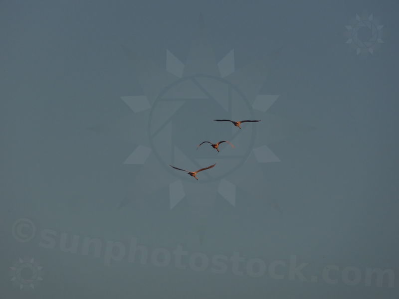 hohenwarthe-tangermunde-74.jpg