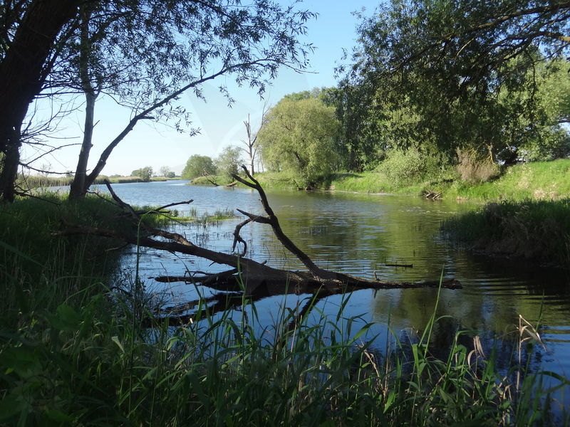 hohenwarthe-tangermunde-82.jpg