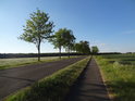 Večerní silnice s cyklostezkou mezi obcemi Sandfurth a Ringfurth na levém břehu Labe.