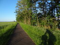Jedoucí cyklistický stín na cyklostezce po levém břehu Labe v úseku Ringfurth – Bitkau.
