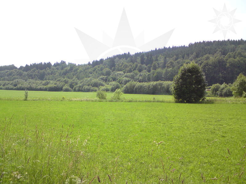 labe-hl-03.jpg