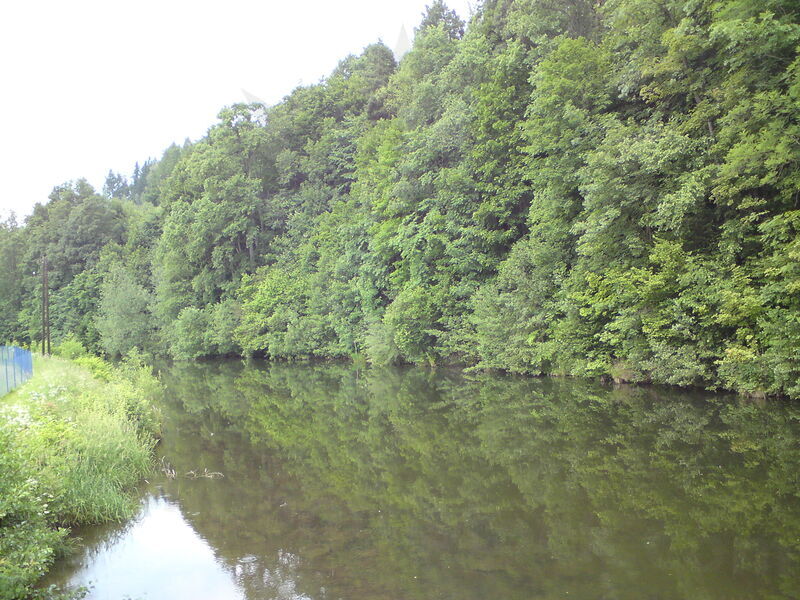 hostinne-01.jpg