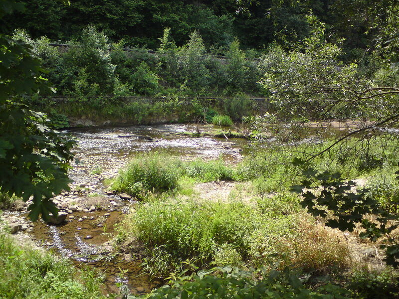 hostinne-11.jpg