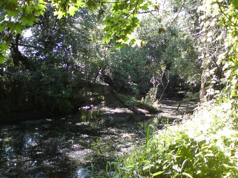 labe-hk-13.jpg