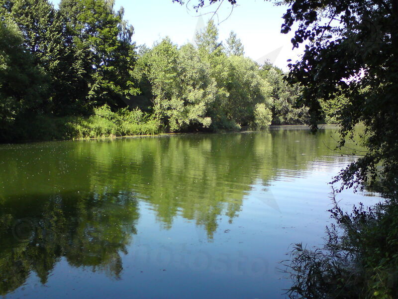 labe-hk-14.jpg