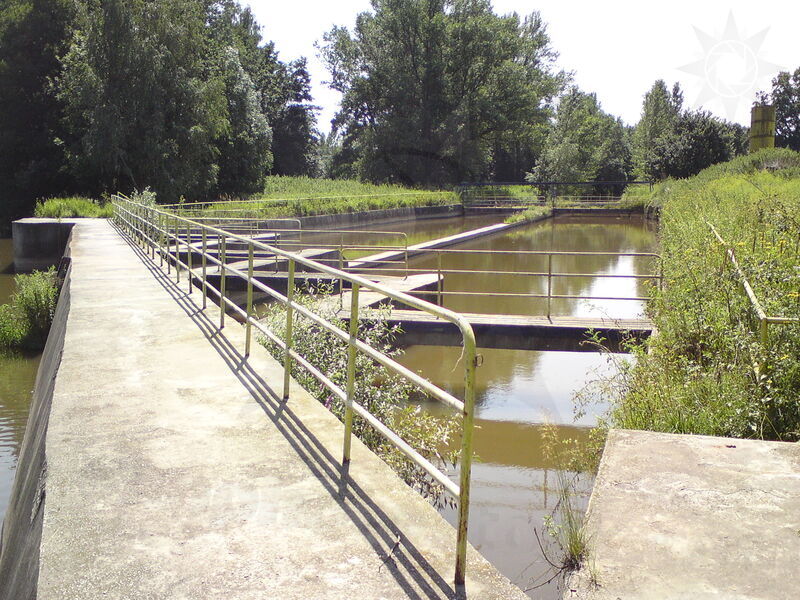 labe-hk-51.jpg