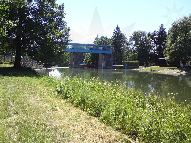 labe-jhk-11.jpg