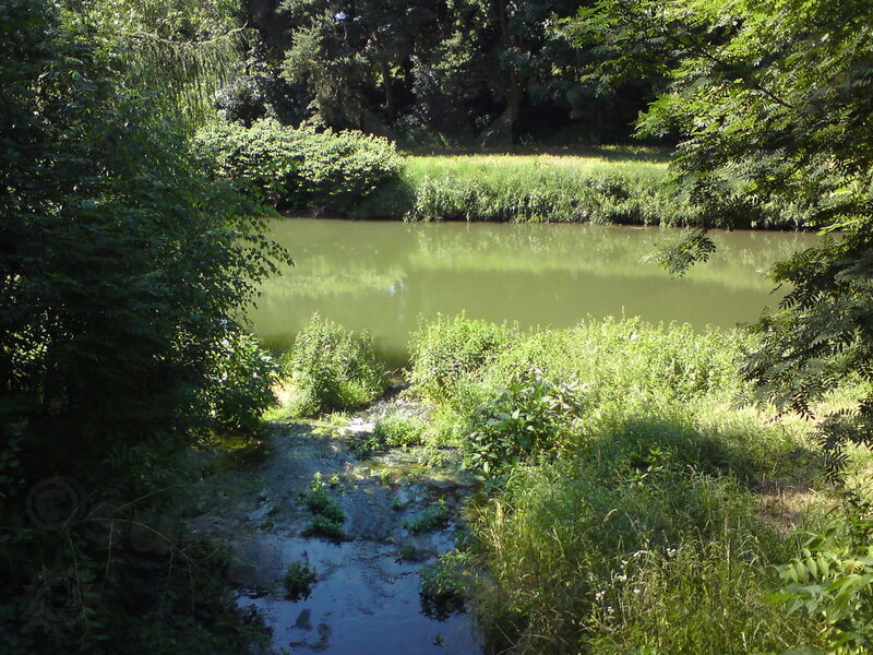 labe-jhk-18.jpg