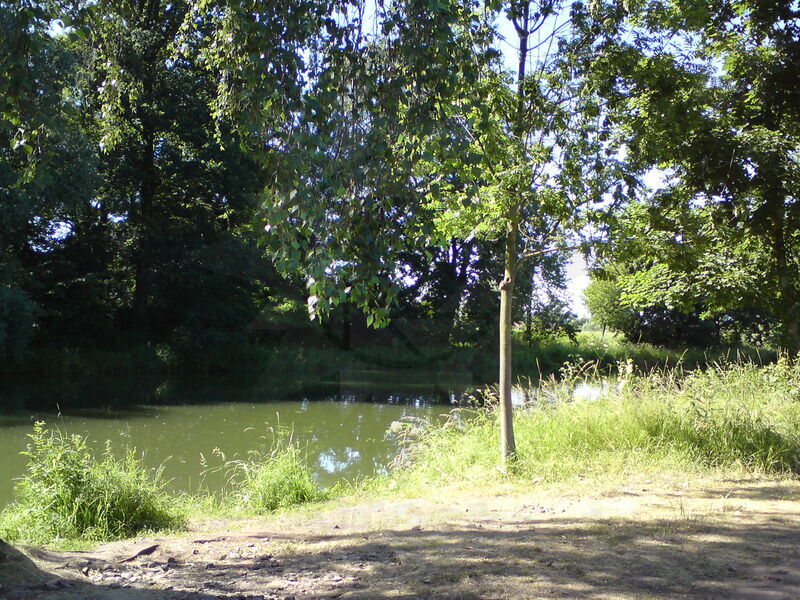 labe-jhk-35.jpg