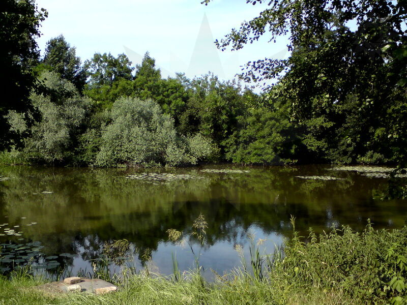 labe-kp-05.jpg
