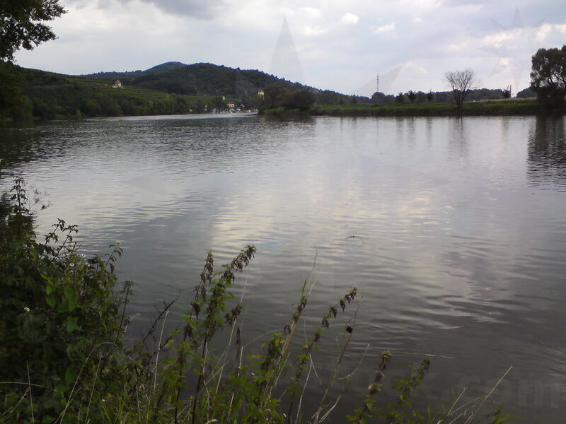 labe-lu-37.jpg