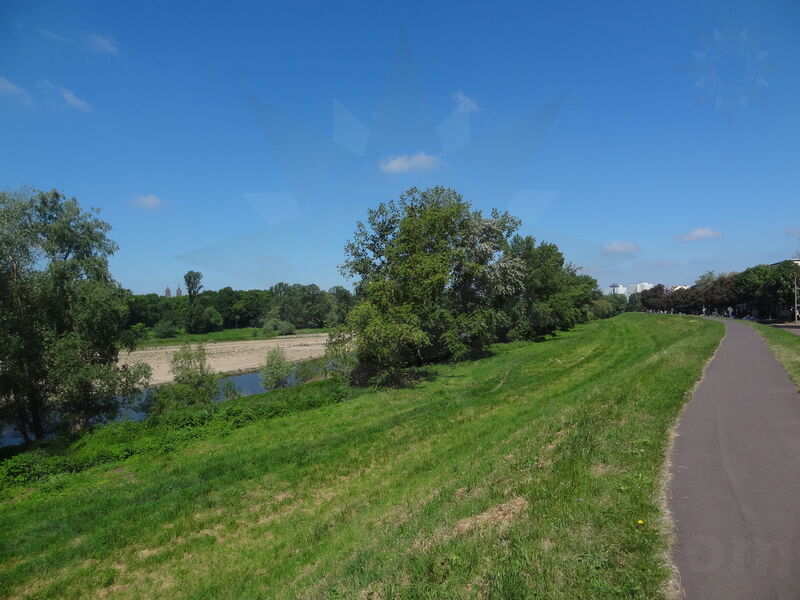 magdeburg-alte-elbe-23.jpg